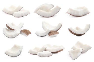 Beyaz arkaplanda olgun hindistan cevizi parçaları ile ayarla