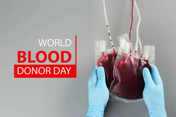 World Donor Day. Doctor in gloves holding blood packs on grey background, top view