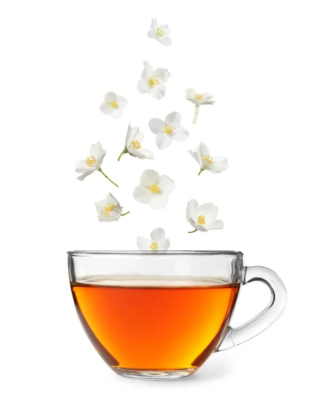 Schöne Jasminblüten Fallen Tasse Heißen Frisch Gebrühten Tee Auf Weißem — Stockfoto