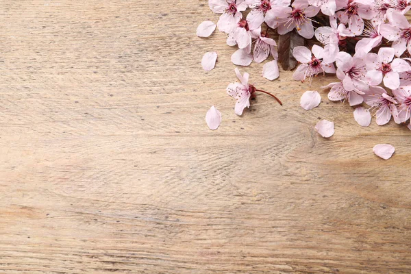 Tahta Arka Planda Güzel Sakura Ağaçları Çiçek Açar Düz Bir — Stok fotoğraf