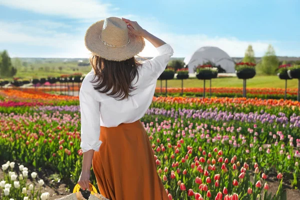 Vrouw Mooi Tulpenveld Zonnige Dag Achteraanzicht — Stockfoto