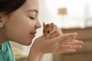 Küçük kız elinde tatlı bir hamster tutuyor, yakın plan.