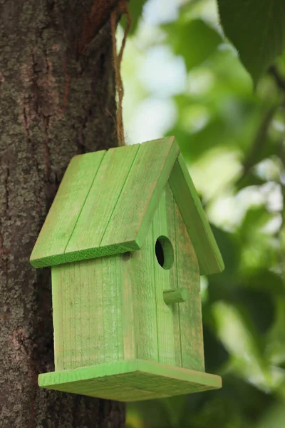 Grönt Fågelhus Trädstam Utomhus — Stockfoto