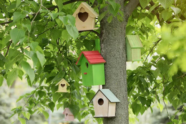 Olika Färgglada Fågelhus Träd Utomhus — Stockfoto