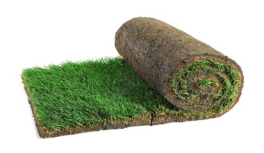 Rolled sod with grass on white background clipart