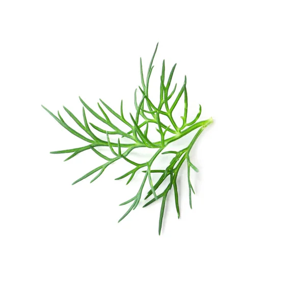 Sprig Fresh Dill Isolated White Top View — Stock fotografie