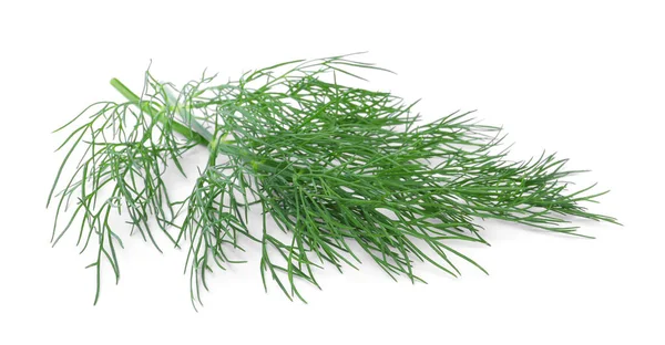 Sprigs Fresh Dill Isolated White — Stock Photo, Image
