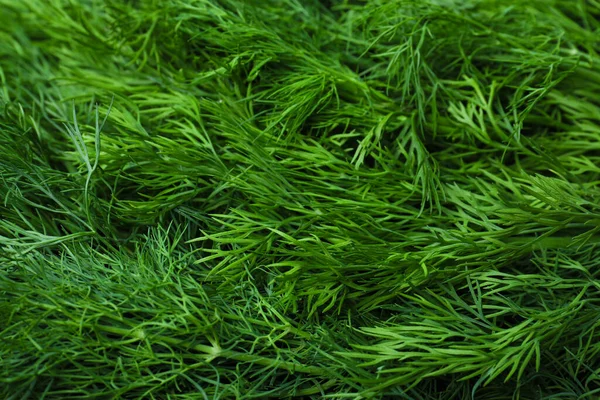 Stock image Green fresh dill as background, closeup view