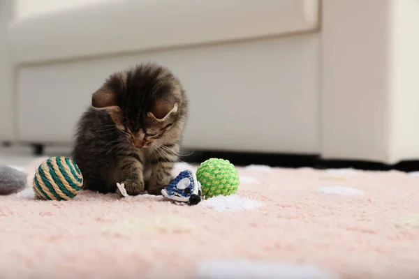 Liten Kattunge Leker Med Leksaker Hemma — Stockfoto