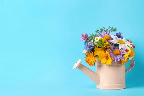 Açık Mavi Arkaplanda Güzel Çiçekleri Olan Pembe Sulama Kutusu Metin — Stok fotoğraf