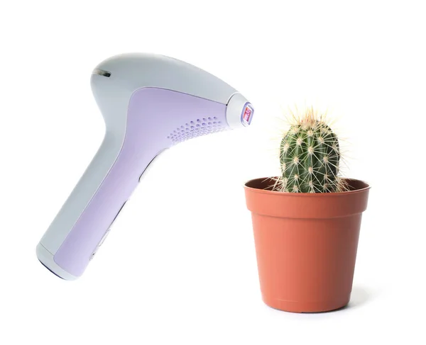 Concetto Depilazione Cactus Fotoepilatore Moderno Sfondo Bianco — Foto Stock