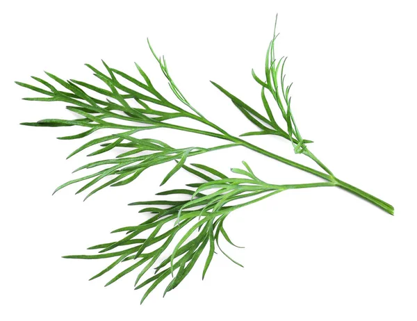 Sprig Fresh Dill White Background Top View — Stock Photo, Image
