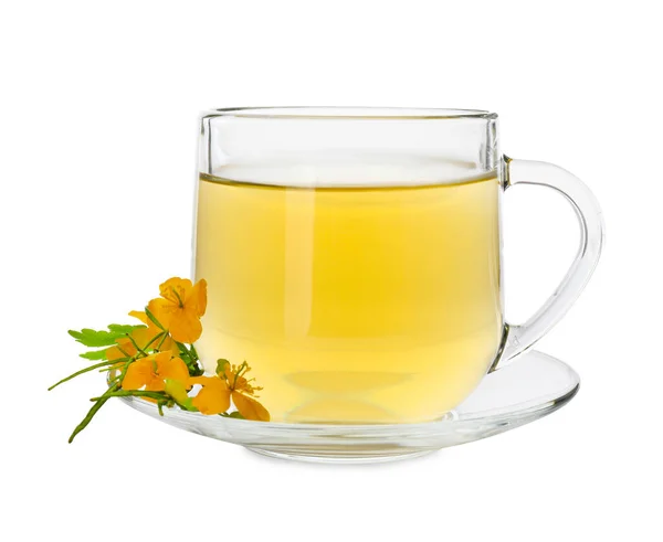 Glasschale Mit Aromatischem Schöllkraut Tee Und Blumen Auf Weißem Hintergrund — Stockfoto