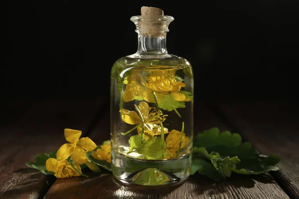 Bottle Celandine Tincture Plant Wooden Table — Stock Photo, Image