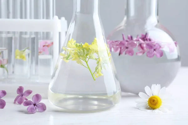 Verrerie Laboratoire Avec Des Fleurs Sur Table Bois Blanc Gros — Photo