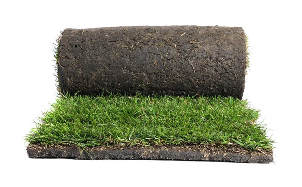 Rolled Sod Grass White Background — Stock Photo, Image