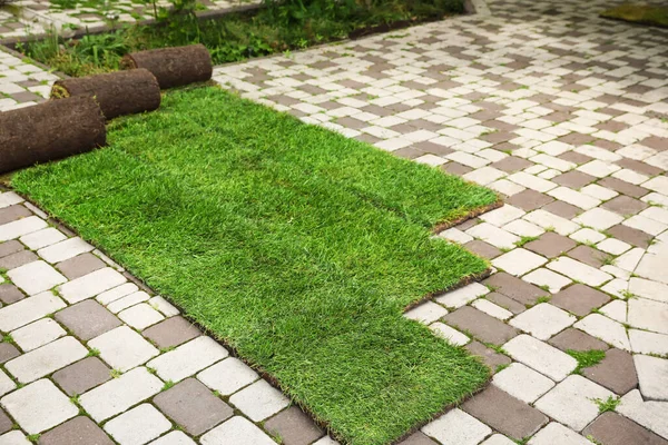 Arka bahçedeki kaldırımlarda bir sürü çimen var.