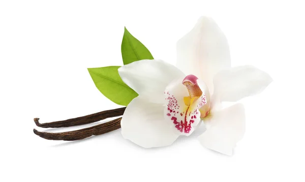 Αρωματικά Ξυλάκια Βανίλιας Όμορφο Λουλούδι Ορχιδέας Και Πράσινα Φύλλα Λευκό — Φωτογραφία Αρχείου