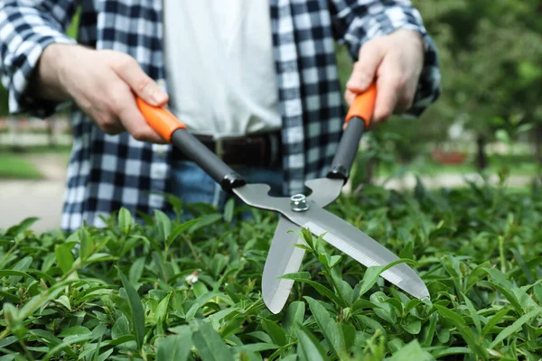 Worker Cutting Bush Hedge Shears Outdoors Closeup Gardening Tool — Stock Photo, Image