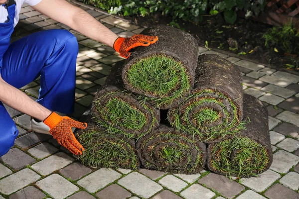 Jardinero Con Rollos Césped Patio Trasero Primer Plano — Foto de Stock