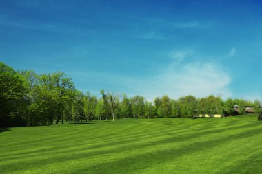 Taze yeşil çimenler ve ağaçlarla dolu golf sahasının manzarası.