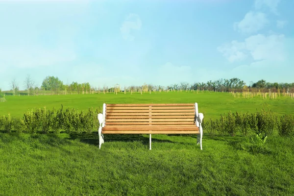 Mooi Park Met Groen Gazon Houten Bank Zonnige Dag — Stockfoto