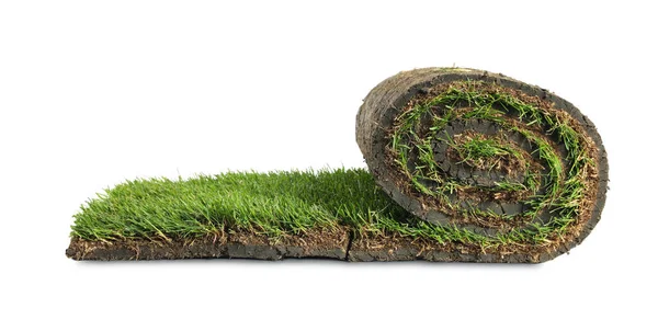 Rolled Sod Grass White Background — Stock Photo, Image