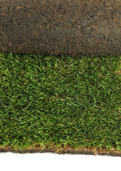 Rolled Sod Grass White Background Closeup — Stock Photo, Image