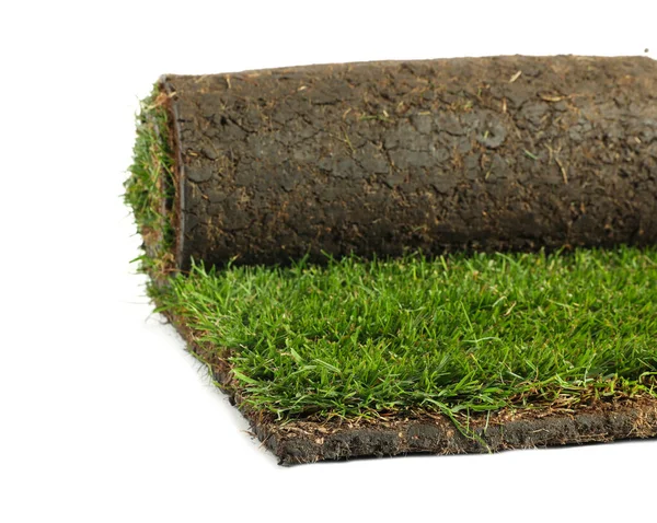 Rolled Sod Grass White Background — Stock Photo, Image