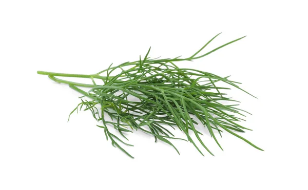 Sprigs Fresh Dill Isolated White — Stock fotografie