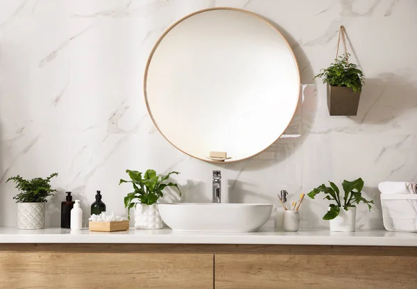 Beautiful Green Ferns Toiletries Bathroom — Stock Photo, Image