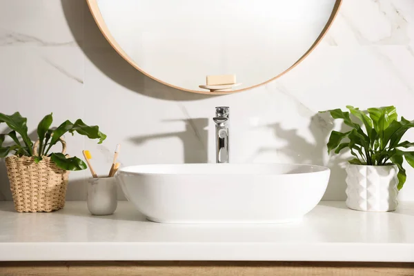 浴室台面上漂亮的绿色蕨类和牙刷 — 图库照片