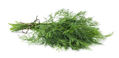 Taze dereotu sürüsü beyazda izole edilmiş.