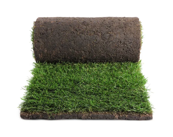 Rolled Sod Grass White Background — Stock Photo, Image