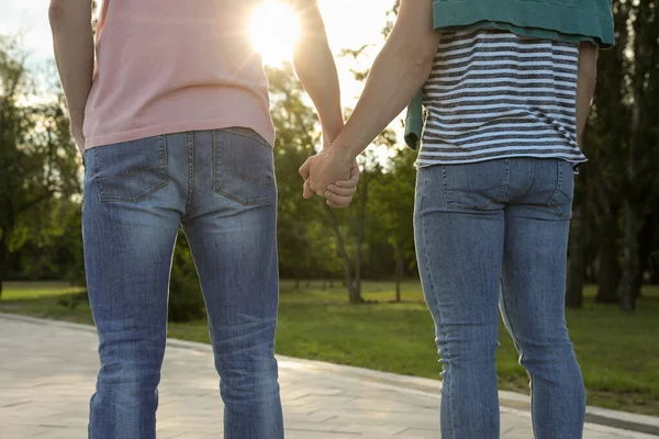 Schwules Paar Hält Händchen Sonnigem Tag Park Rückansicht — Stockfoto