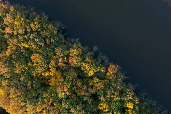 Vista Aérea Del Hermoso Bosque Otoño Orilla Del Río —  Fotos de Stock