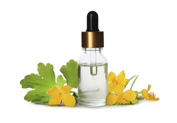 Bottle Essential Oil Celandine White Background — Stock Photo, Image