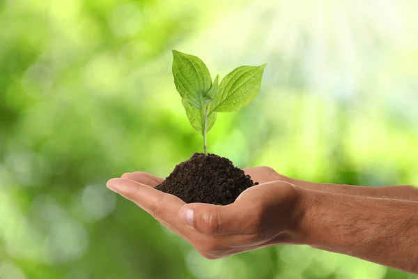 Mann Hält Kleine Pflanze Erde Auf Verschwommenem Hintergrund Nahaufnahme Umweltschutz — Stockfoto