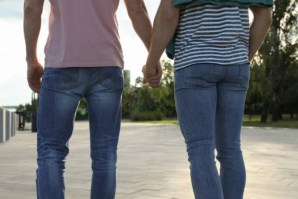 Homosexuelle Paare Gehen Sonnigen Tagen Freien Rückansicht — Stockfoto