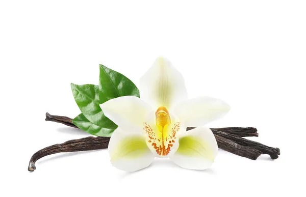 Ξηρά Αρωματικά Ξυλάκια Βανίλιας Όμορφο Λουλούδι Και Πράσινα Φύλλα Λευκό — Φωτογραφία Αρχείου