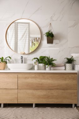 Güzel yeşil eğrelti otları ve banyo malzemeleri.