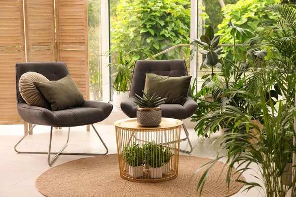 Lounge Interior Com Poltronas Confortáveis Plantas Sala — Fotografia de Stock