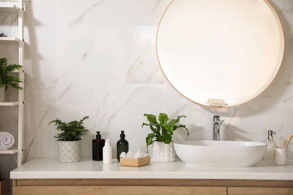 Beautiful Green Ferns Toiletries Bathroom — Stock Photo, Image