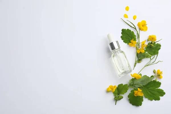 Fles Van Natuurlijke Celandine Olie Bloemen Lichte Achtergrond Bovenaanzicht — Stockfoto