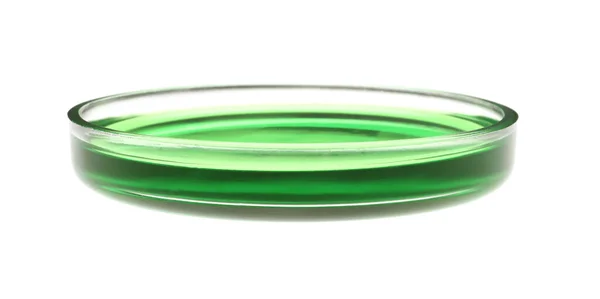 Τρυβλίο Petri Πράσινο Υγρό Δείγμα Απομονωμένο Λευκό — Φωτογραφία Αρχείου