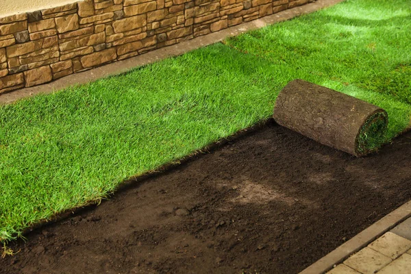 stock image Laying grass sods at backyard. Home landscaping