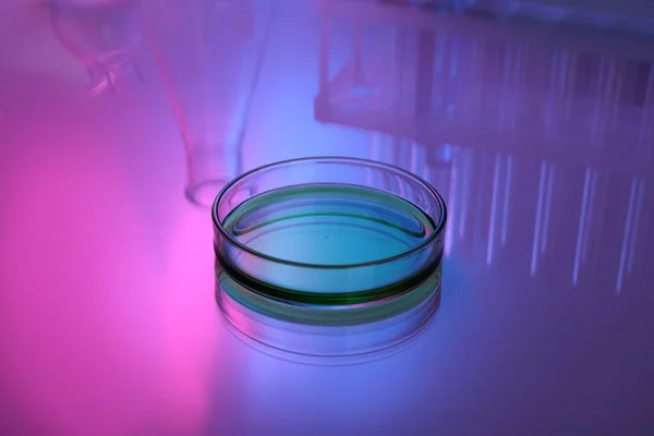 Petri dish with liquid on table, toned in pink and blue