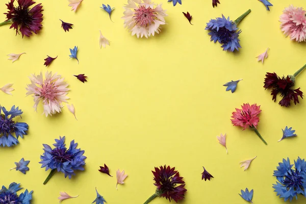 Sarı Arka Planda Güzel Renkli Çiçek Çerçevesi Düz Metin Için — Stok fotoğraf