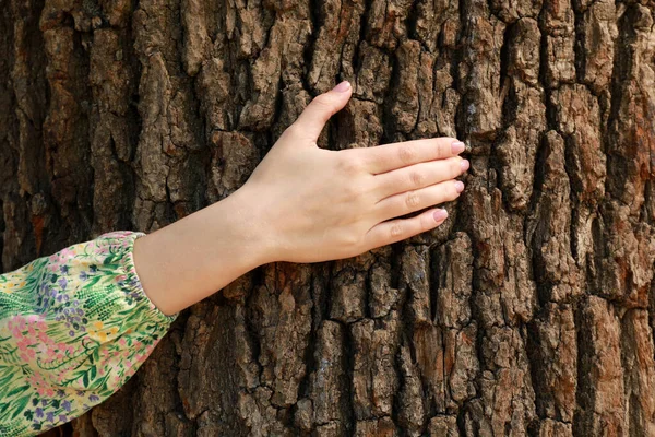 Young woman hugging tree trunk, closeup view