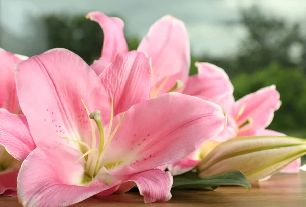 Gyönyörű Rózsaszín Liliom Virágok Asztalon Közelkép — Stock Fotó